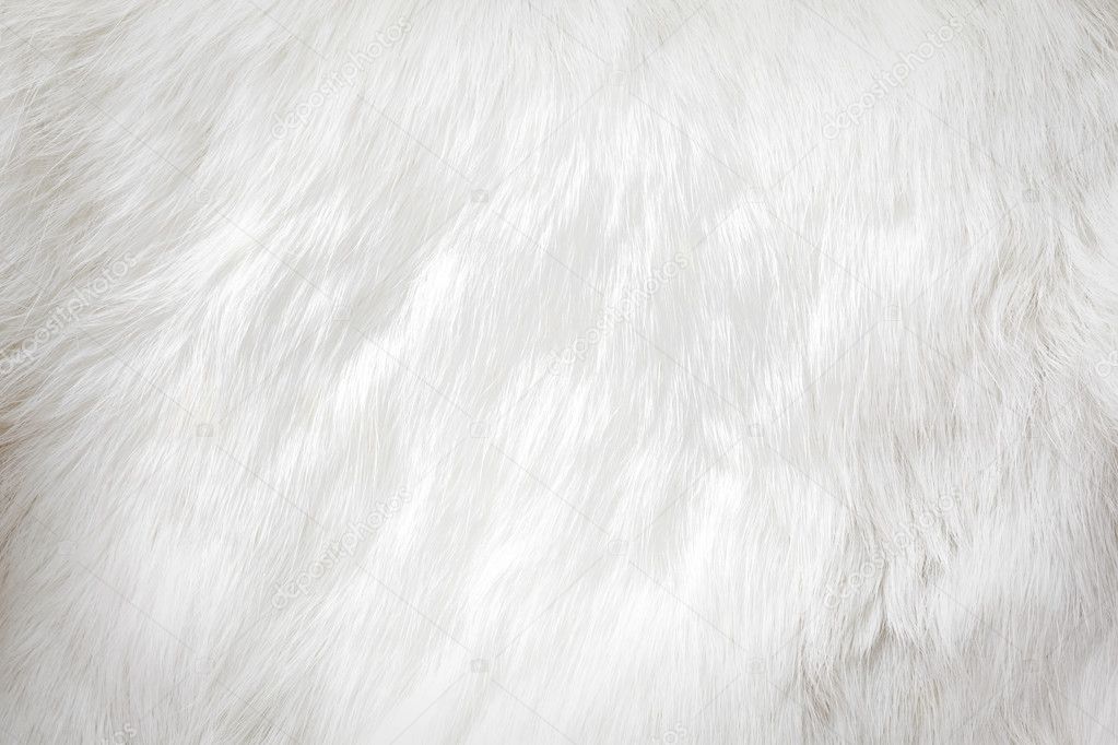 White fur background Stock Photo by ©AppleEyesStudio 28380699